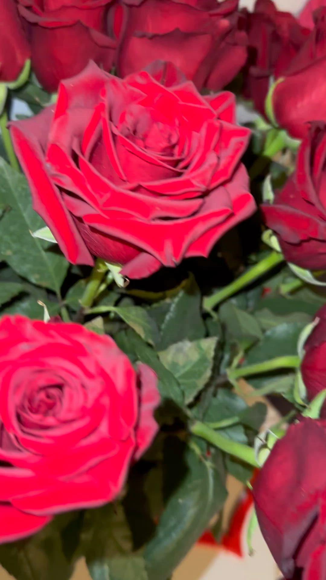 Eternal Elegance Blooming Medley
